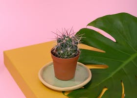 右侧卧位标准睡姿图示