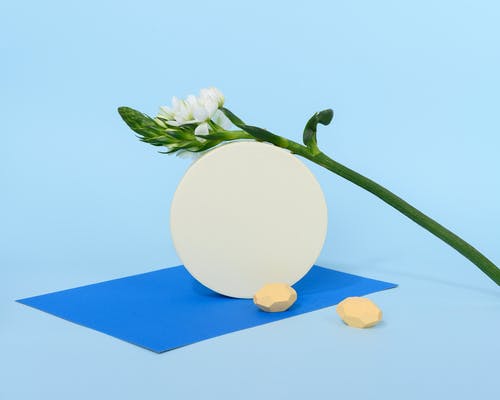 人被跳蚤咬过的图片