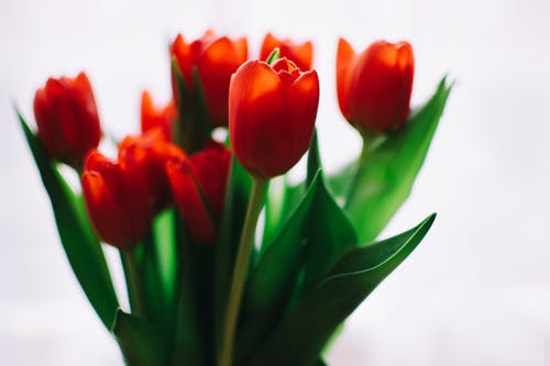 喝豆浆上火吗_豆浆_导致上火_会上火吗