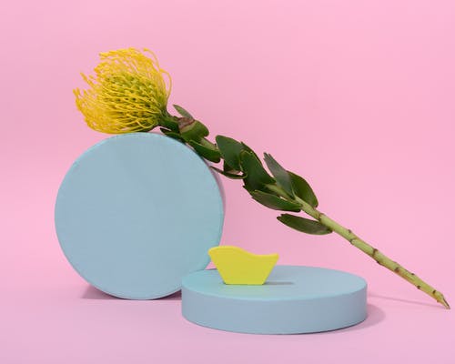 可乐开瓶多久后就不能喝了