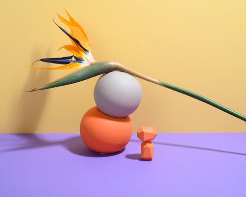 国公酒的功效和作用