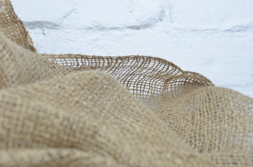 女人内火旺喝什么降火