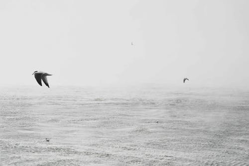 右脚心疼是死亡征兆